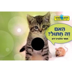 חוש המישוש- האם זה חתול