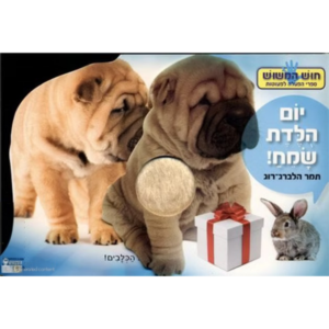 חוש המישוש- יום הולדת שמח
