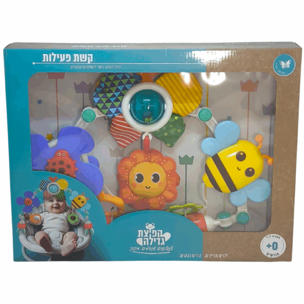 קשת פעילות